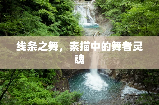 线条之舞，素描中的舞者灵魂