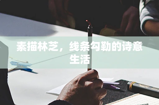 素描林芝，线条勾勒的诗意生活