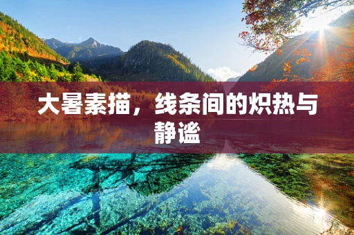 大暑素描，线条间的炽热与静谧