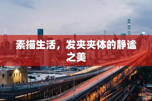 素描生活，发夹夹体的静谧之美