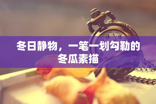 冬日静物，一笔一划勾勒的冬瓜素描