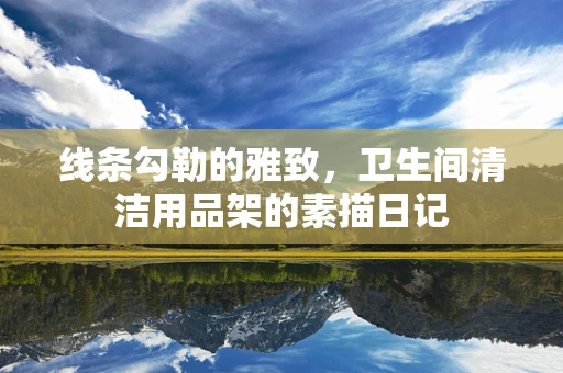 线条勾勒的雅致，卫生间清洁用品架的素描日记