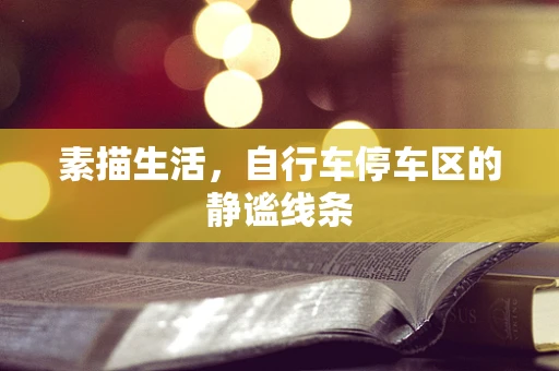 素描生活，自行车停车区的静谧线条