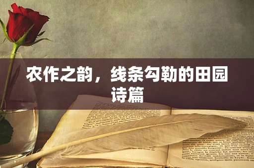 农作之韵，线条勾勒的田园诗篇