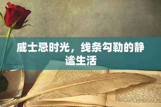 威士忌时光，线条勾勒的静谧生活