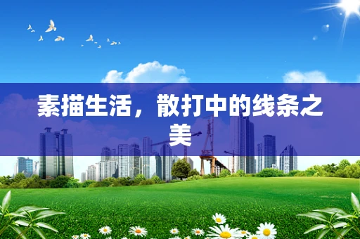 素描生活，散打中的线条之美