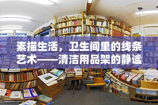素描生活，卫生间里的线条艺术——清洁用品架的静谧之韵