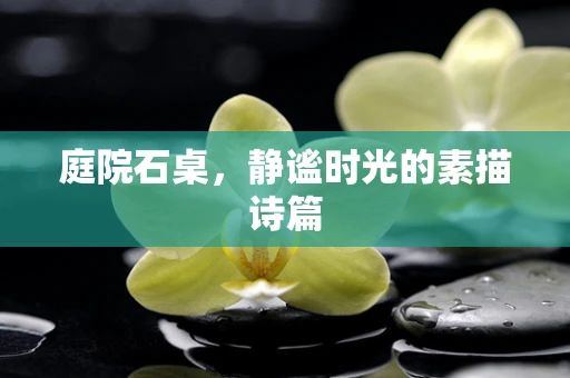 庭院石桌，静谧时光的素描诗篇