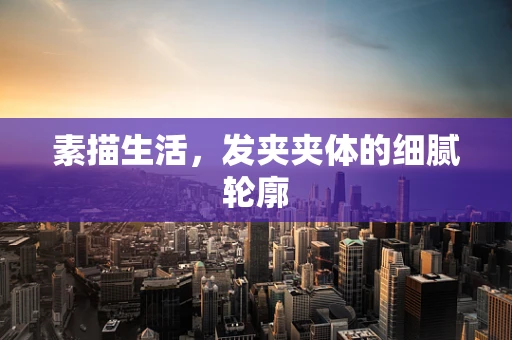 素描生活，发夹夹体的细腻轮廓