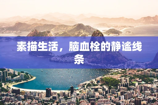 素描生活，脑血栓的静谧线条