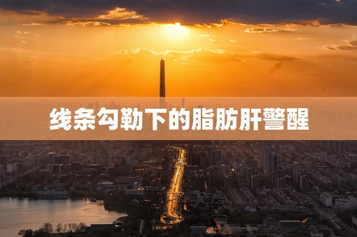 线条勾勒下的脂肪肝警醒