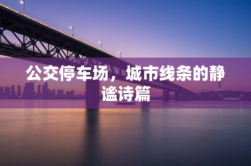 公交停车场，城市线条的静谧诗篇