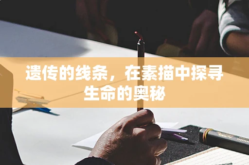 遗传的线条，在素描中探寻生命的奥秘