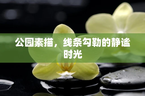 公园素描，线条勾勒的静谧时光