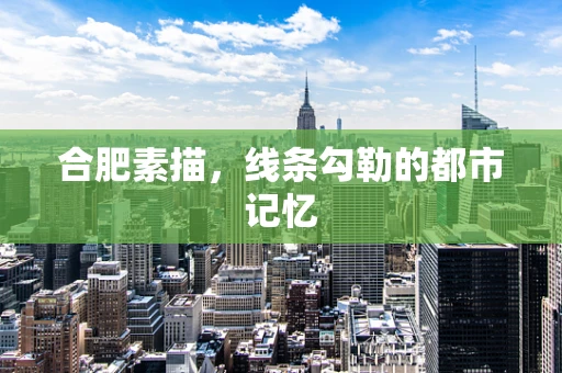 合肥素描，线条勾勒的都市记忆