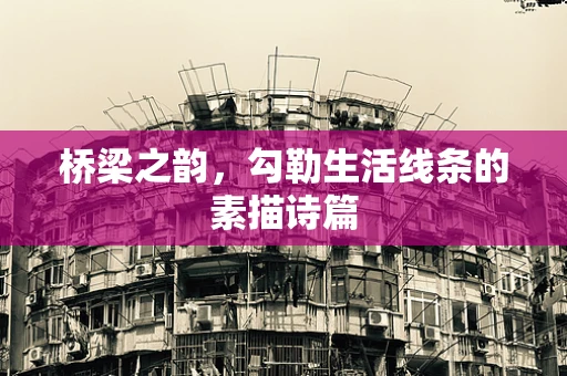 桥梁之韵，勾勒生活线条的素描诗篇