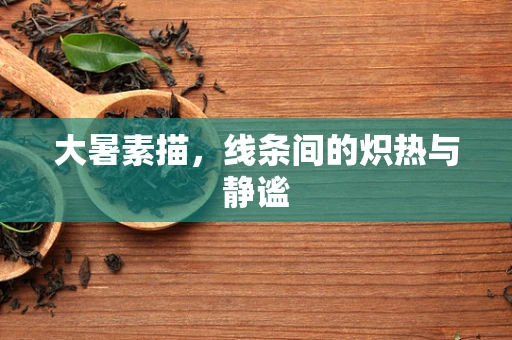 大暑素描，线条间的炽热与静谧