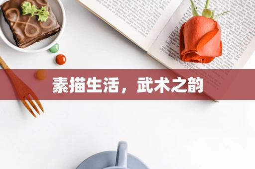 素描生活，武术之韵