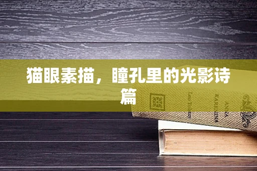 猫眼素描，瞳孔里的光影诗篇
