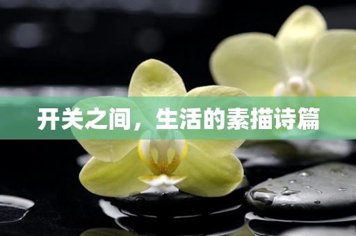 开关之间，生活的素描诗篇