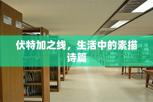 伏特加之线，生活中的素描诗篇