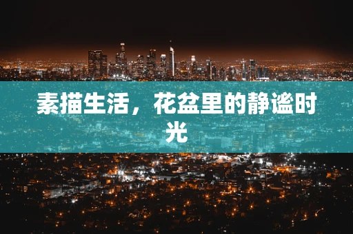 素描生活，花盆里的静谧时光