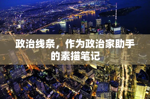 政治线条，作为政治家助手的素描笔记