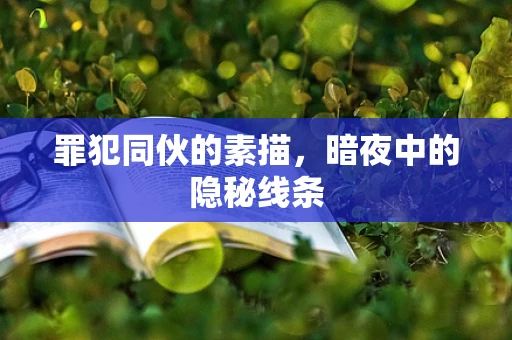 罪犯同伙的素描，暗夜中的隐秘线条