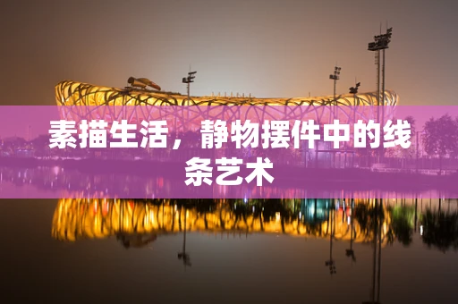素描生活，静物摆件中的线条艺术