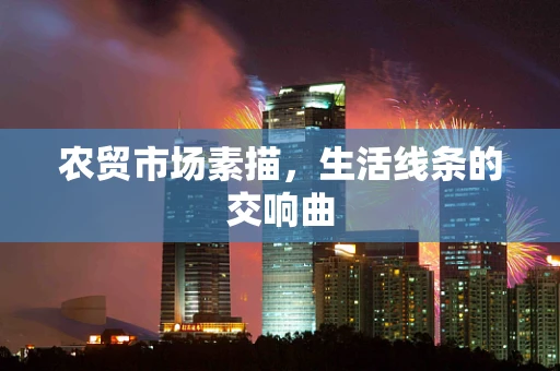 农贸市场素描，生活线条的交响曲