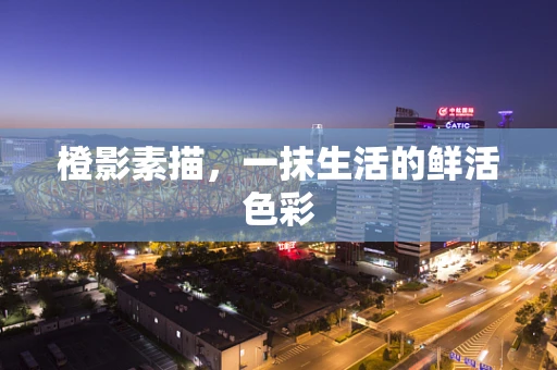 橙影素描，一抹生活的鲜活色彩