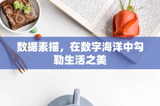 数据素描，在数字海洋中勾勒生活之美