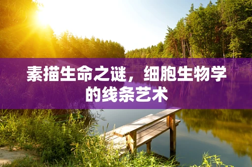 素描生命之谜，细胞生物学的线条艺术