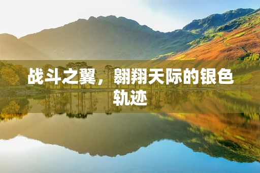战斗之翼，翱翔天际的银色轨迹