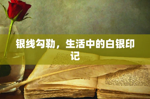 银线勾勒，生活中的白银印记