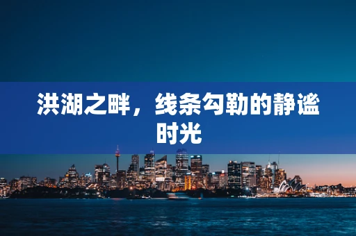 洪湖之畔，线条勾勒的静谧时光