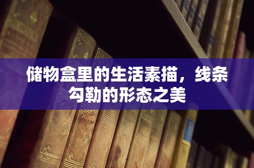 储物盒里的生活素描，线条勾勒的形态之美