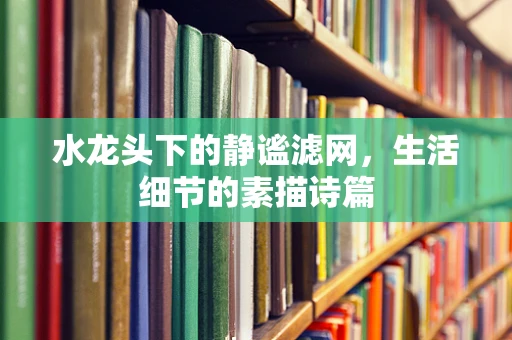 水龙头下的静谧滤网，生活细节的素描诗篇