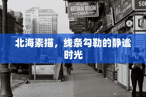 北海素描，线条勾勒的静谧时光