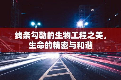 线条勾勒的生物工程之美，生命的精密与和谐