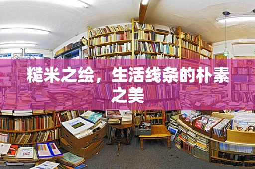 糙米之绘，生活线条的朴素之美