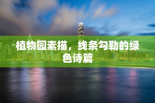 植物园素描，线条勾勒的绿色诗篇