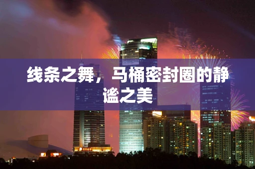 线条之舞，马桶密封圈的静谧之美