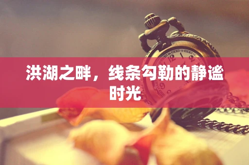 洪湖之畔，线条勾勒的静谧时光