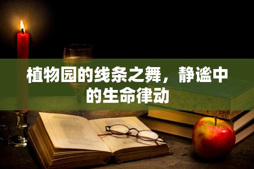 植物园的线条之舞，静谧中的生命律动