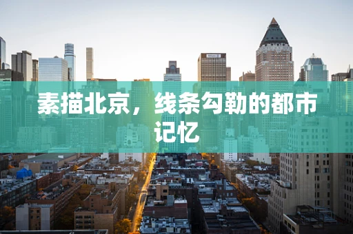 素描北京，线条勾勒的都市记忆