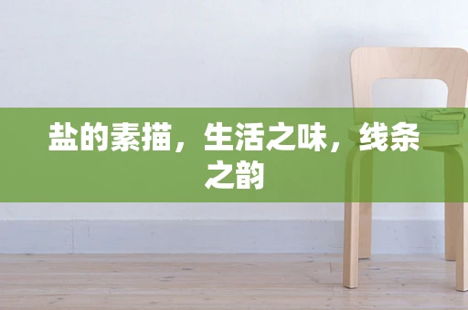 盐的素描，生活之味，线条之韵