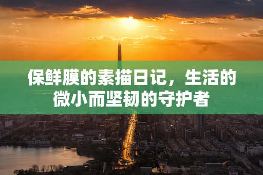 保鲜膜的素描日记，生活的微小而坚韧的守护者