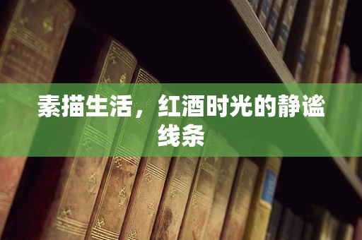 素描生活，红酒时光的静谧线条
