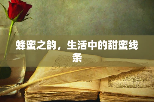 蜂蜜之韵，生活中的甜蜜线条